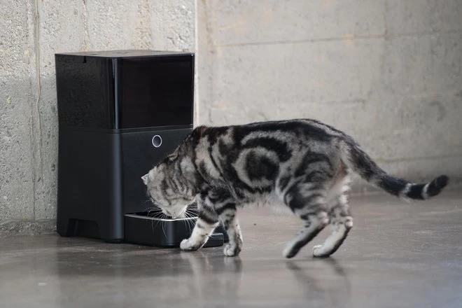 Best pet gadgets 2021: High-tech pet devices for your cats and dogs (and yourself)