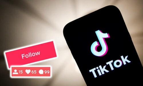 How To Increase Your Followers On TikTok To Make More Money?