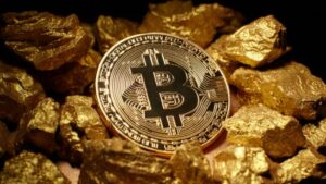 Will Bitcoin be digital gold? Perspectives and limits