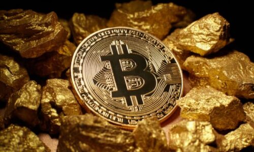 Will Bitcoin be digital gold? Perspectives and limits
