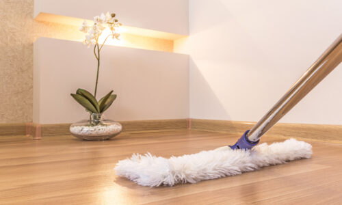 What do you need to know about the floor cleaner?