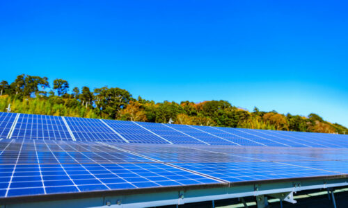 Solar Energy: How Can You Reduce the Operational Costs of a Business?