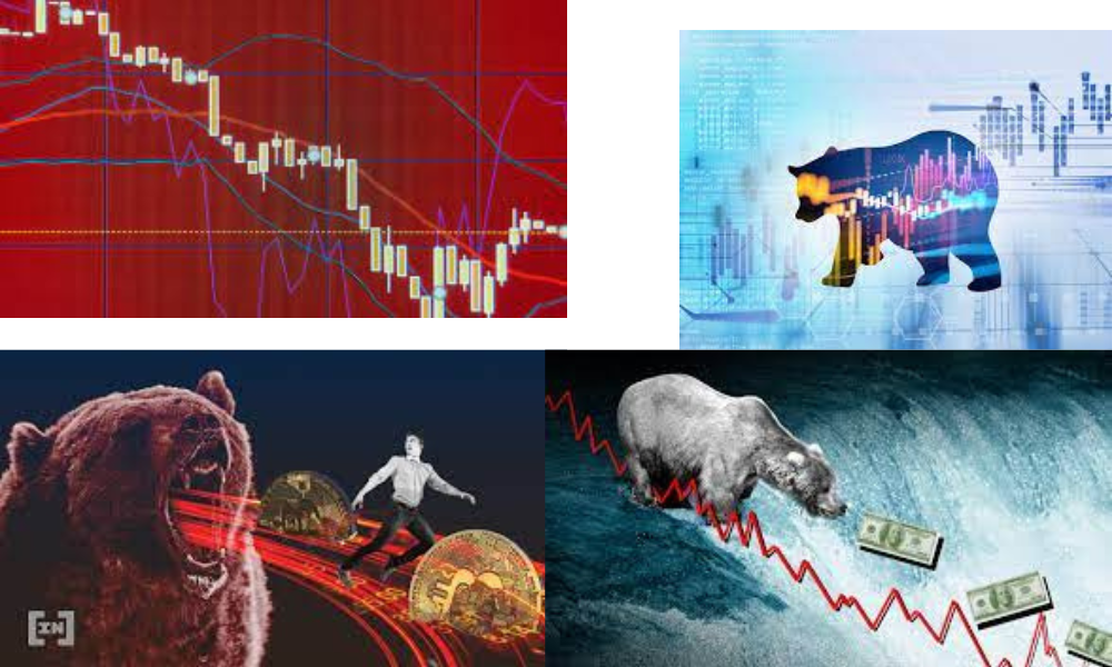 07 Investing Strategies To Prepare For Bear Markets,04th One Is Best