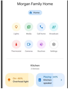 Google Home App: 