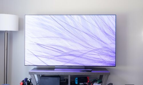 OLED Television: Get the Best of Technology
